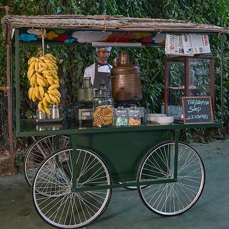 Cardamom County By Xandari Hotel Thekkady Luaran gambar